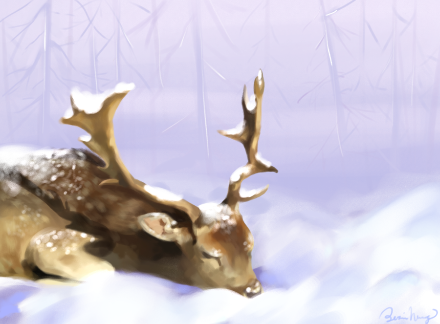 A deer lays gracefully on the snow as the cold season approaches this dreary time of year.