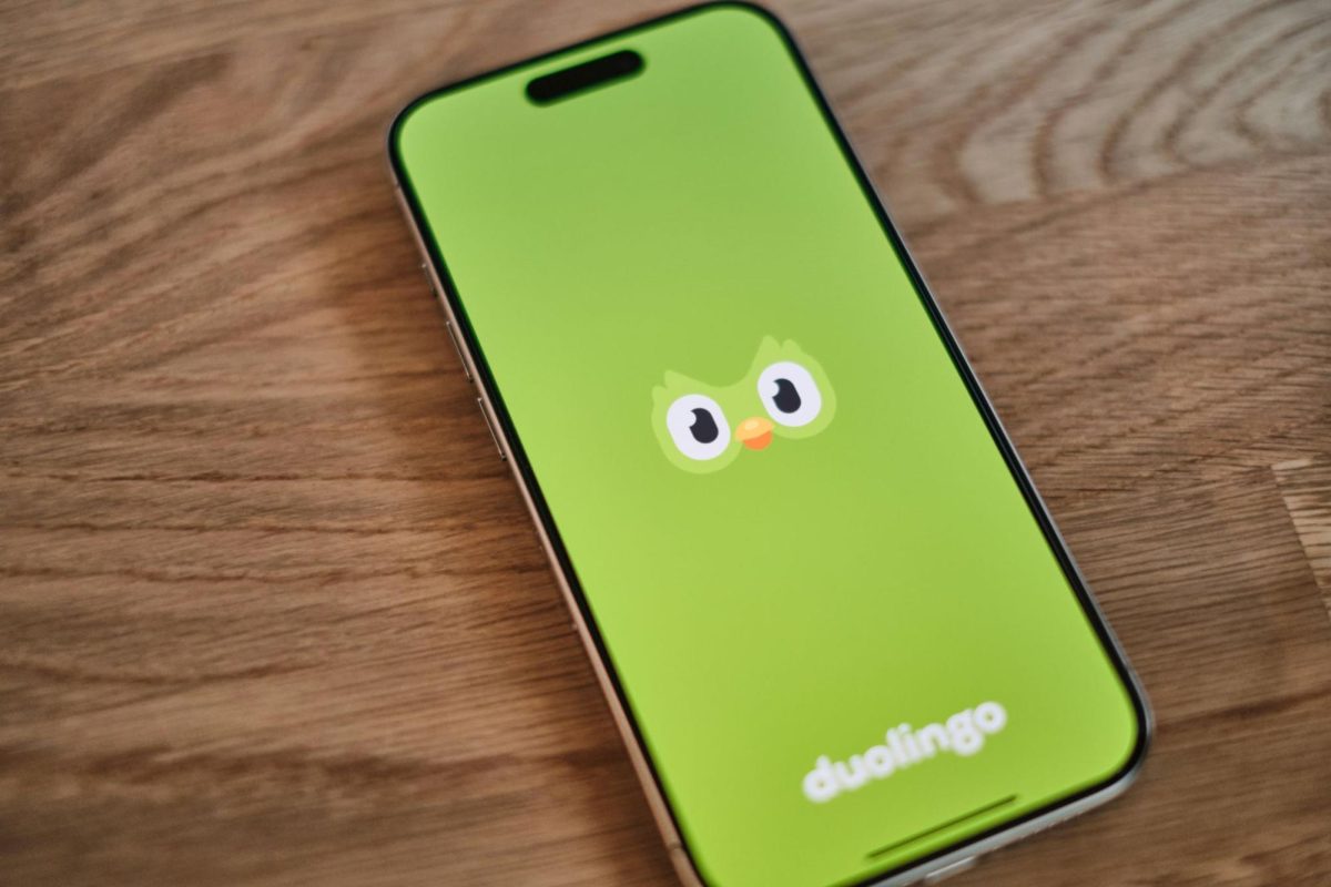 An image of the Duolingo app.